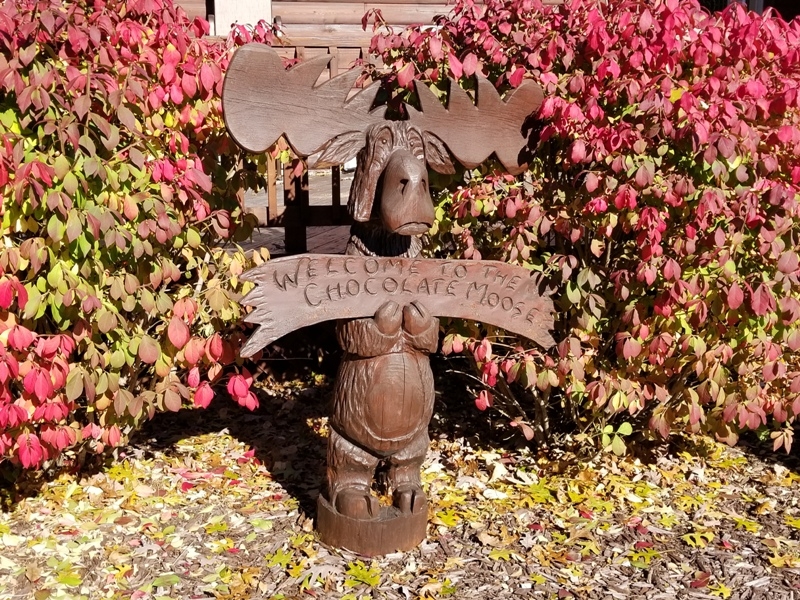 Chocolate Moose Lodge